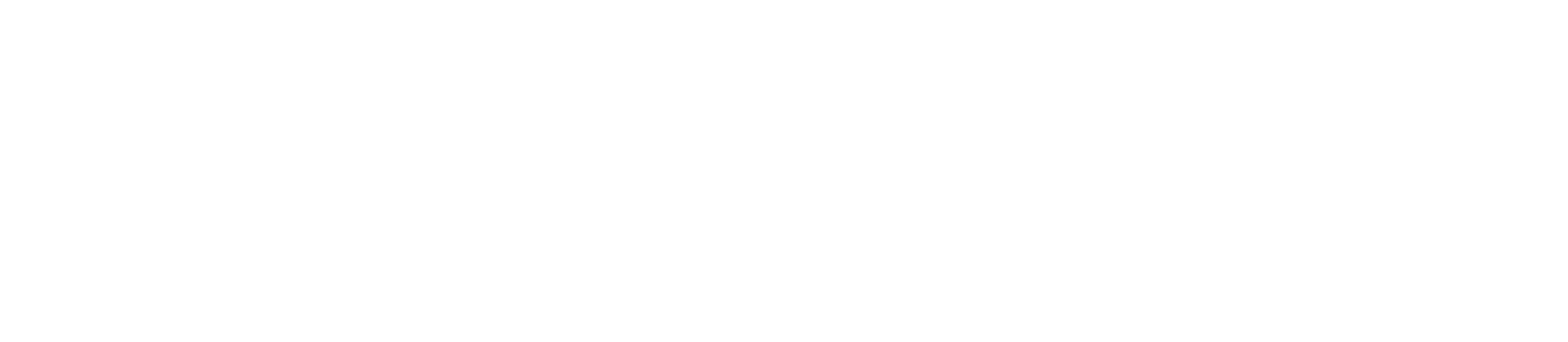 Dr. Bilkis Fatema Logo